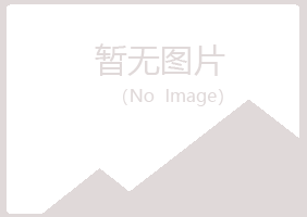 青山区惜文造纸有限公司